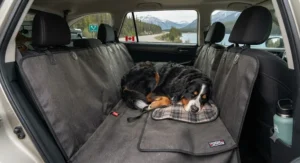 A protective pet blanket for large dogs covering the back seat of an SUV for a road trip across Canada.