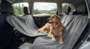 Illustration of a waterproof pet blanket draped over a vehicle backseat during a Canadian road trip.